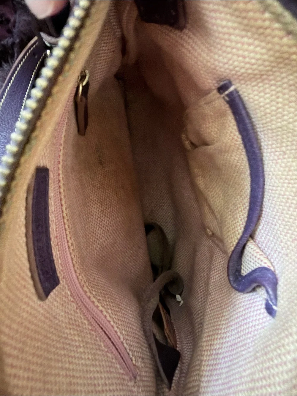Dooney & Bourke Plum Leather Crossbody Bag with Brass Plaque